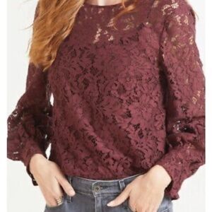 Allison Joy AVIVA Volume Sleeve Lace Top Long Sleeve Sienna xs shirt blouse NWOT